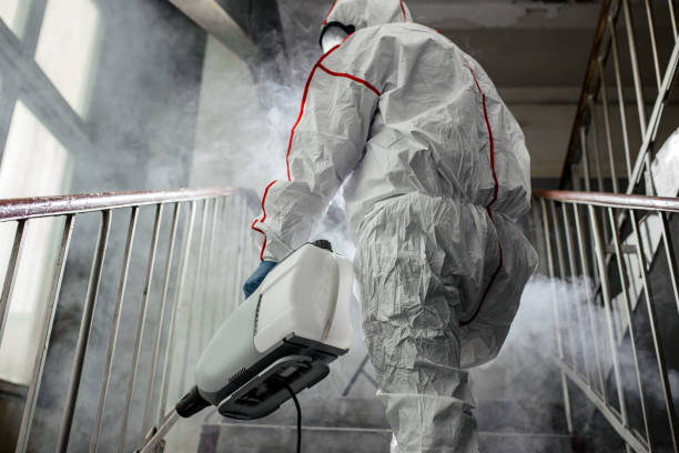 Best Airborne Mold Testing  in Beaver Dam, WI